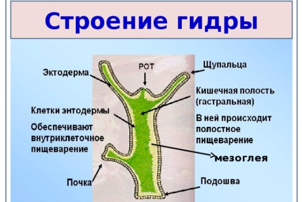 Kraken clear ссылка