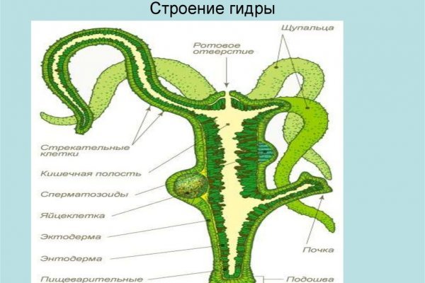 Kraken com супернет